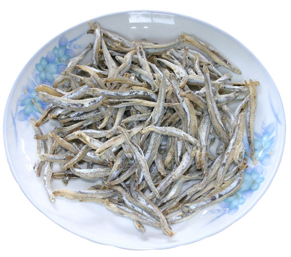 海燕魚